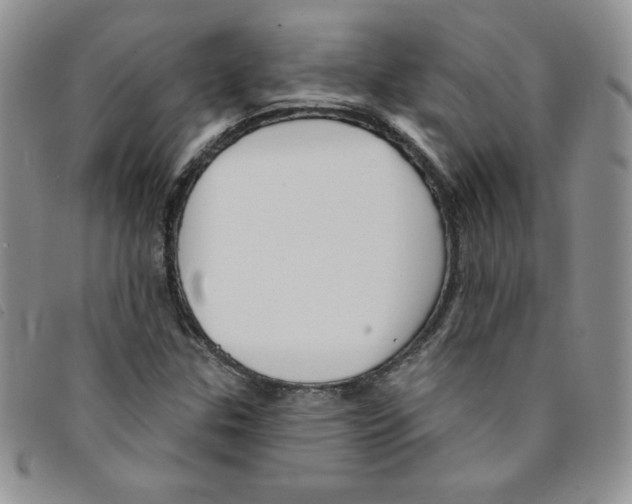 X0000095551307200801111445