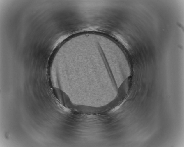 X0000095551308200801111445