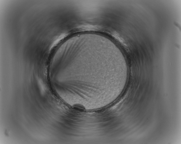 X0000095551309200801111445