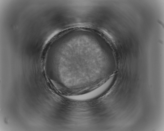 X0000095551310200801111445