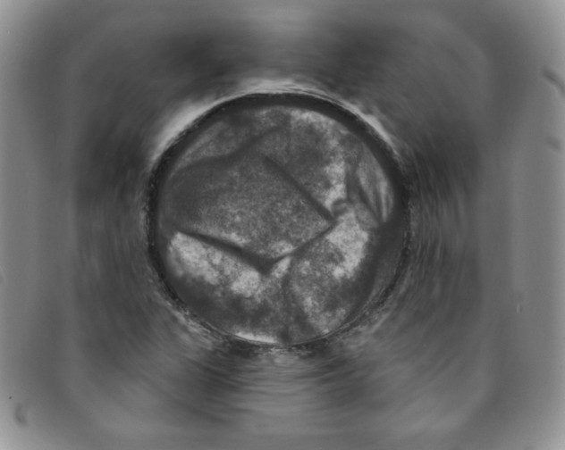 X0000095551311200801111445