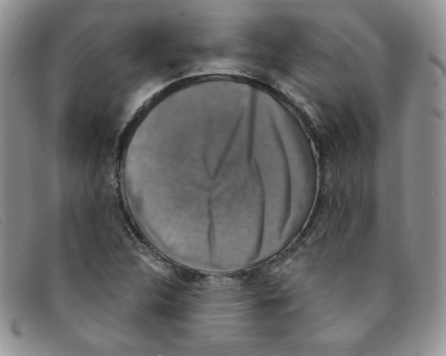 X0000095551312200801111445