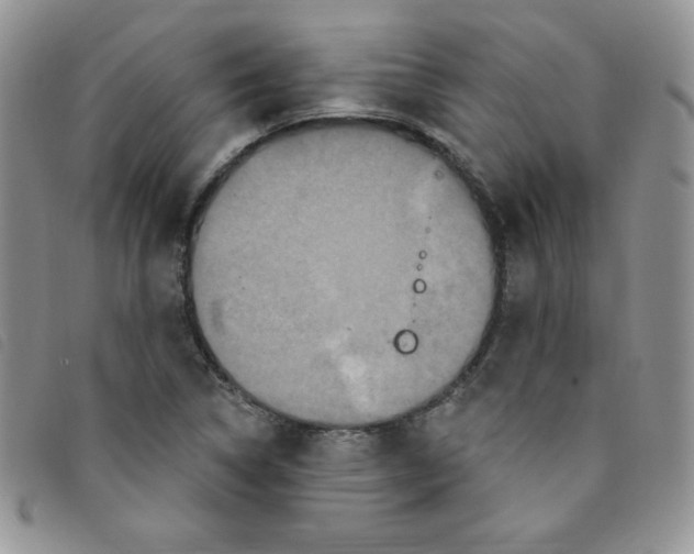 X0000095551314200801111445