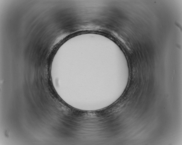 X0000095551315200801111445