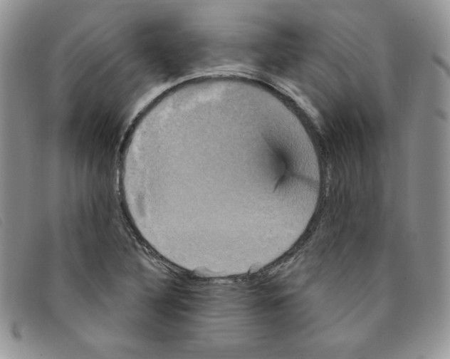 X0000095551316200801111445