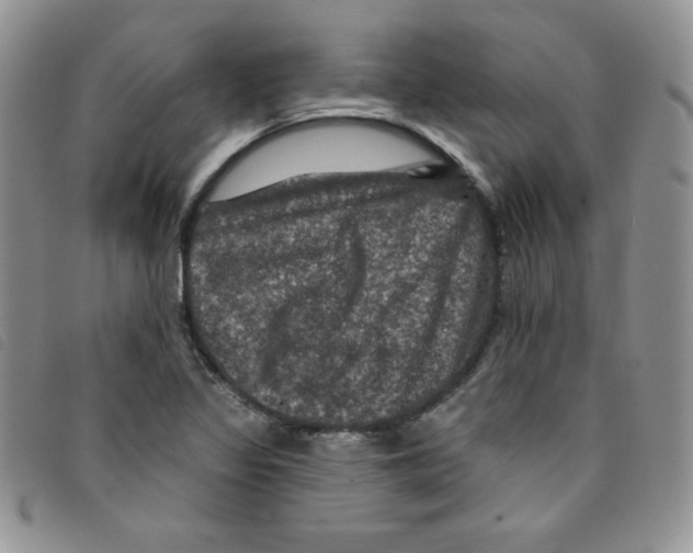 X0000095551317200801111445