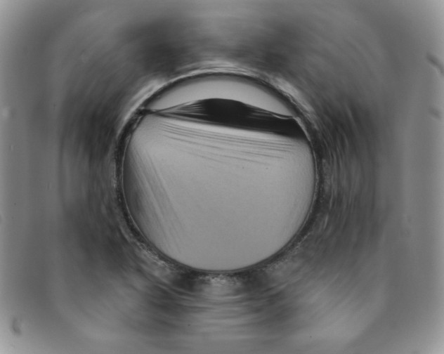 X0000095551318200801111445