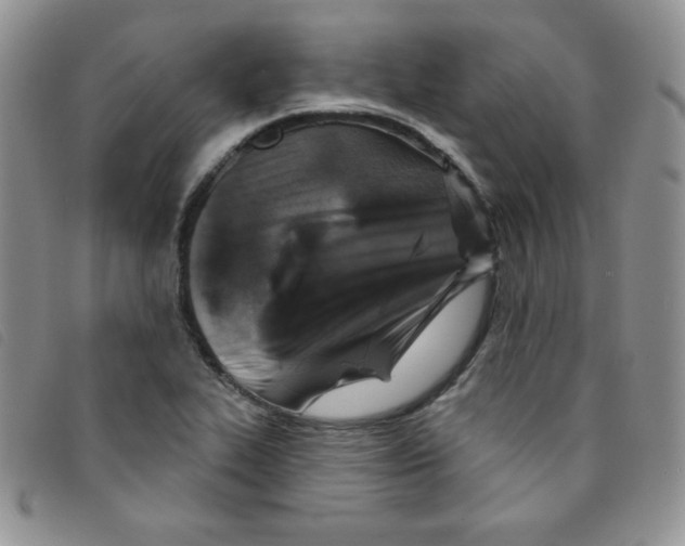 X0000095551319200801111445