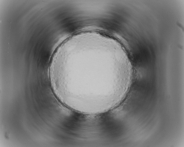 X0000095551322200801111445