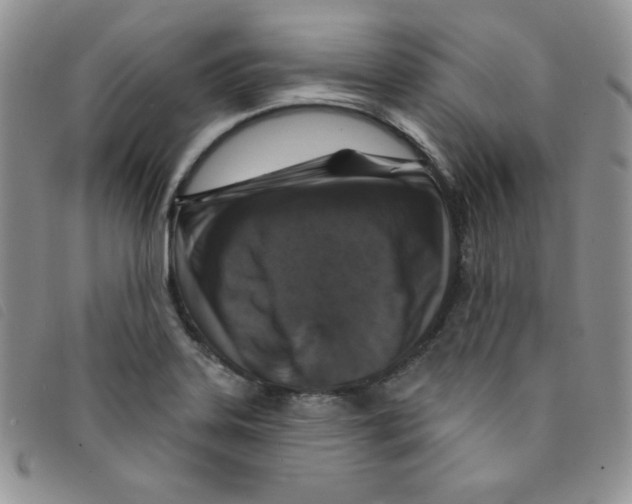 X0000095551323200801111445