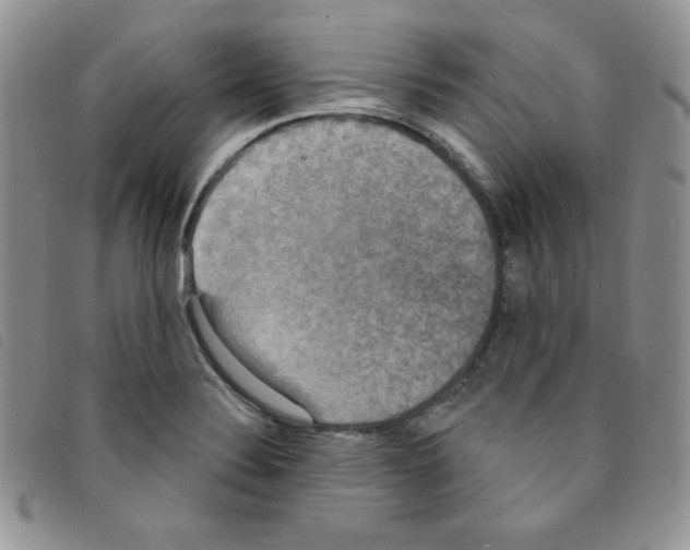 X0000095551324200801111445