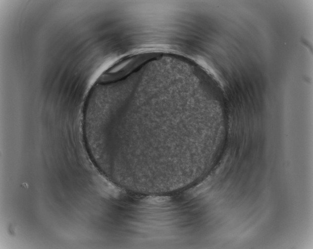 X0000095551325200801111445