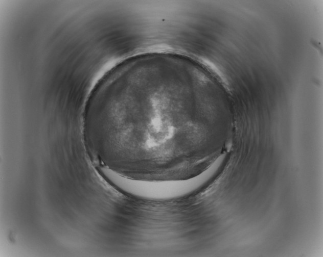 X0000095551326200801111445