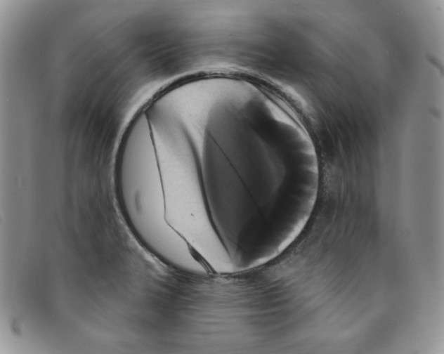 X0000095551327200801111445