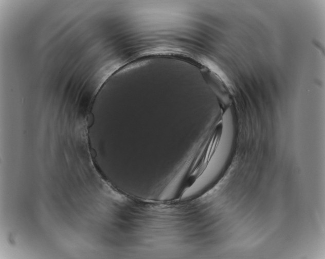 X0000095551329200801111445