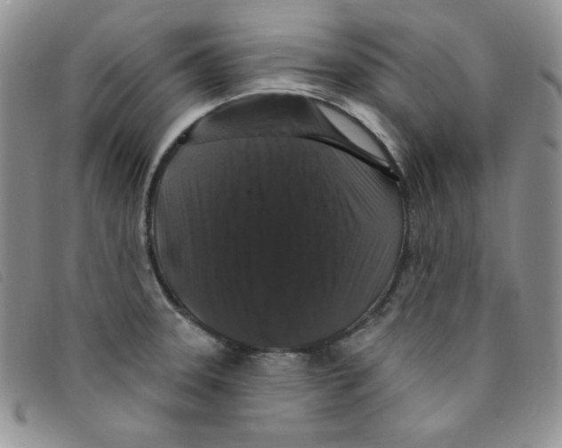 X0000095551331200801111445