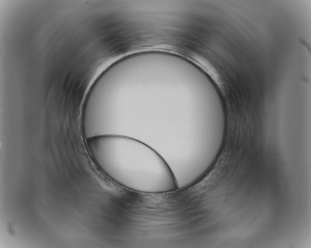 X0000095551332200801111445