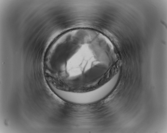 X0000095551334200801111445