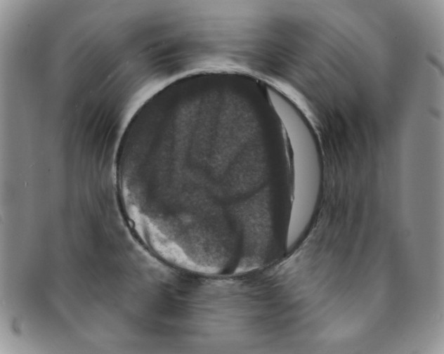 X0000095551335200801111445