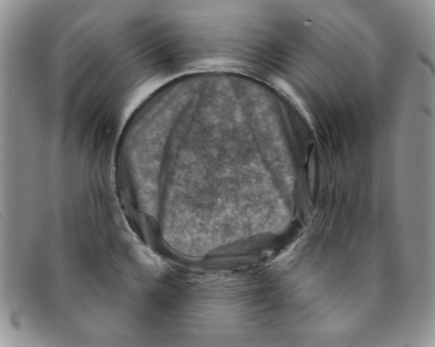 X0000095551336200801111445