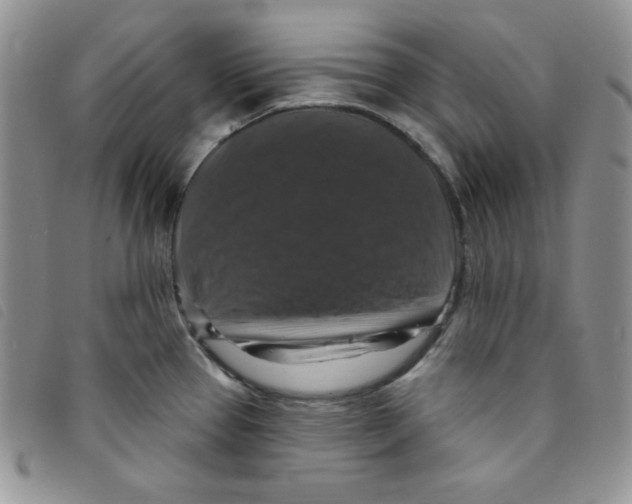 X0000095551337200801111445