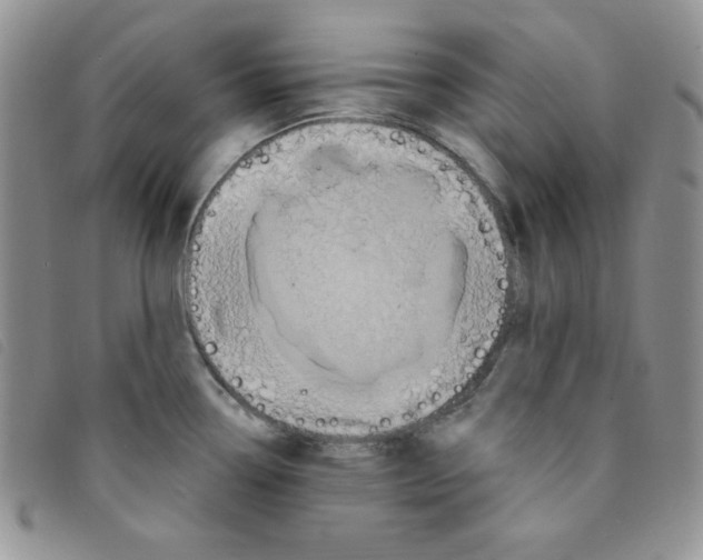 X0000095551338200801111445