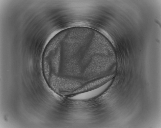 X0000095551339200801111445