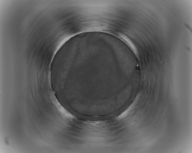 X0000095551340200801111445