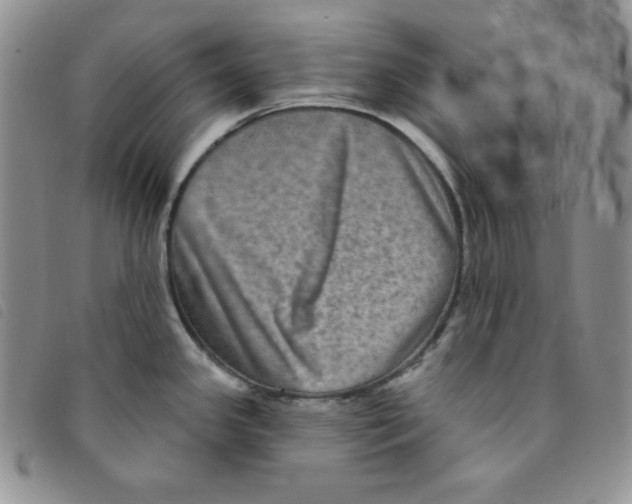 X0000095551341200801111445