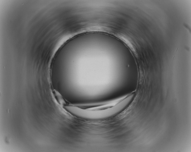 X0000095551342200801111445