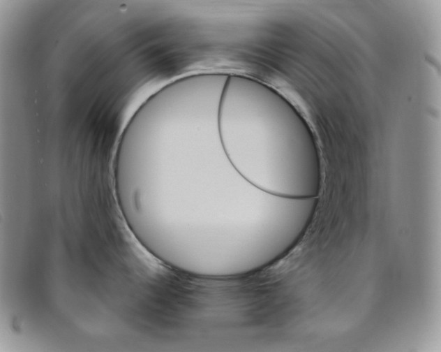 X0000095551344200801111445