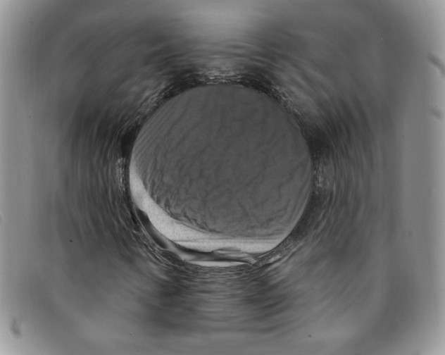 X0000095551346200801111445