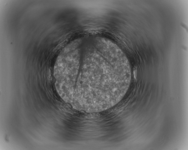 X0000095551347200801111445