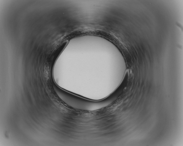 X0000095551348200801111445