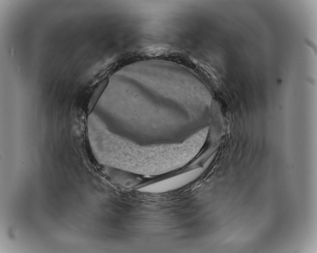 X0000095551349200801111445