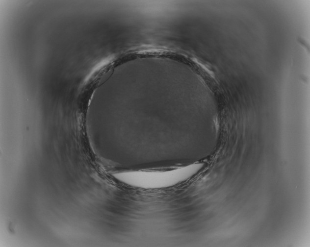 X0000095551351200801111445