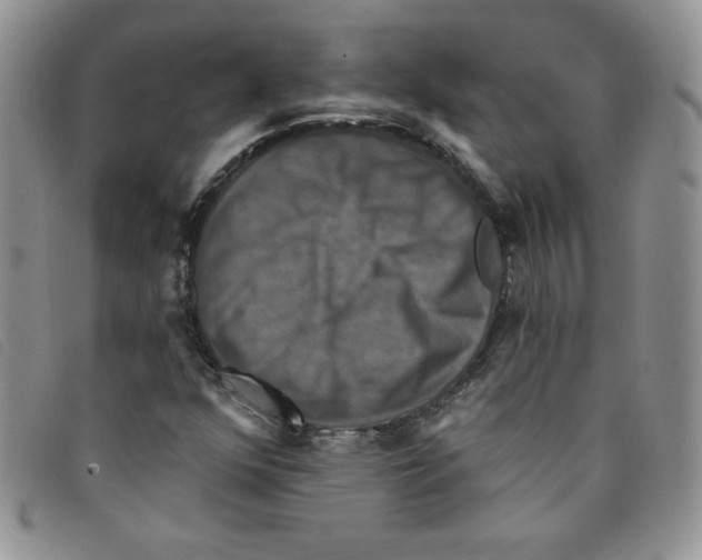 X0000095551352200801111445