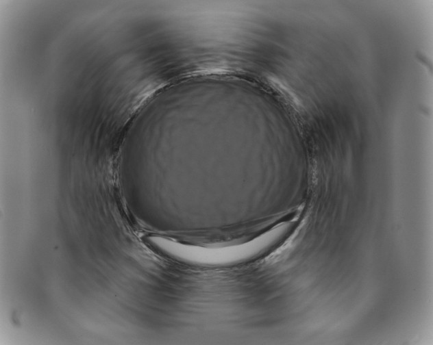 X0000095551353200801111445