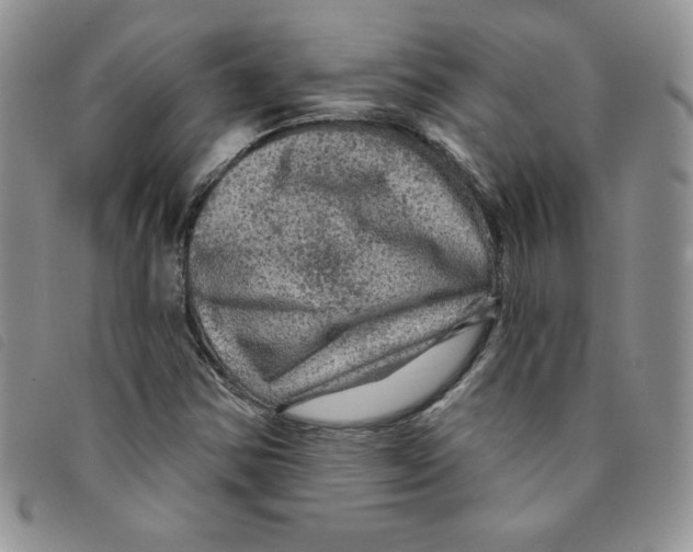 X0000095551354200801111444