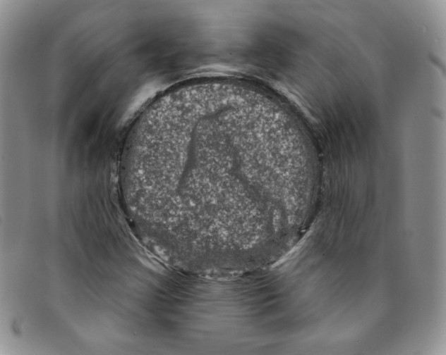 X0000095551355200801111444