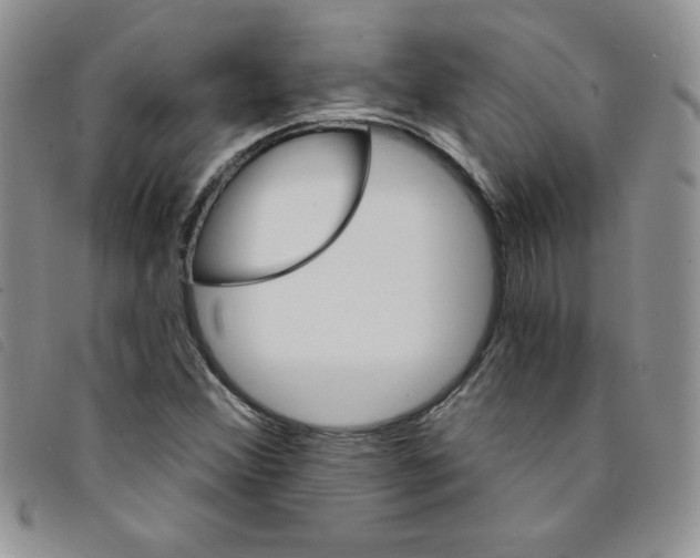 X0000095551356200801111444