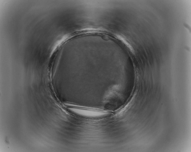 X0000095551357200801111444