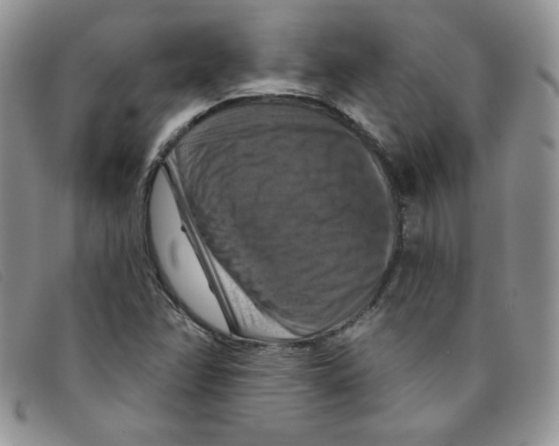 X0000095551358200801111444