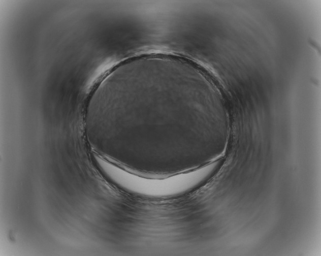 X0000095551359200801111444