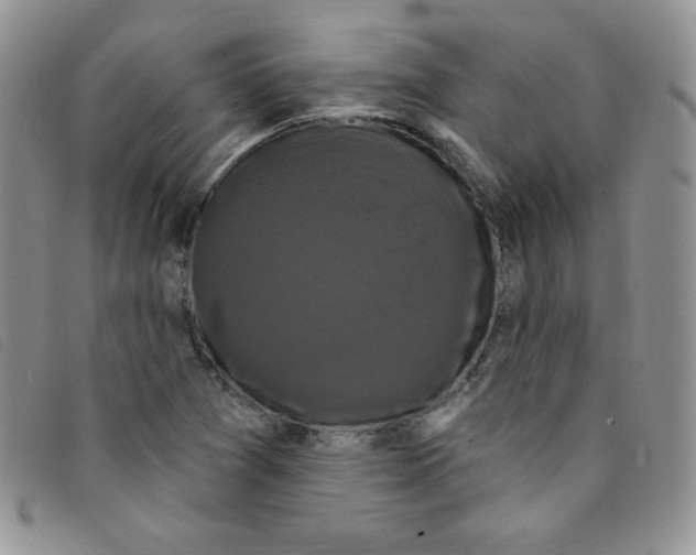 X0000095551361200801111444