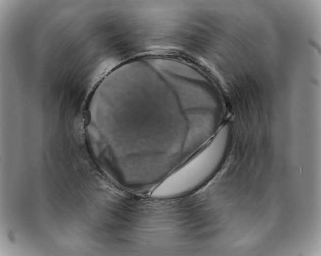 X0000095551362200801111444