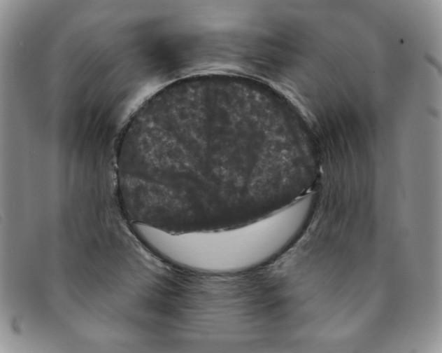 X0000095551363200801111444