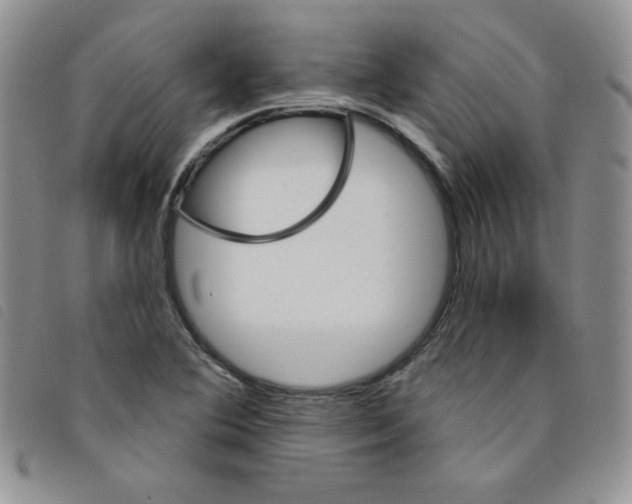 X0000095551364200801111444