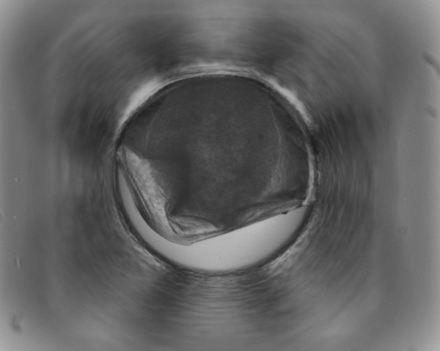 X0000095551365200801111444