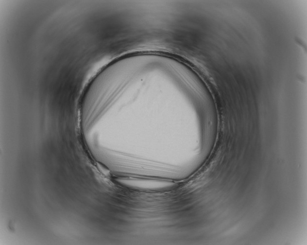 X0000095551366200801111444